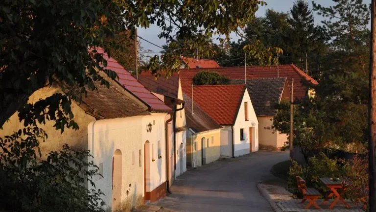 Kellergasse in Jedenspeigen